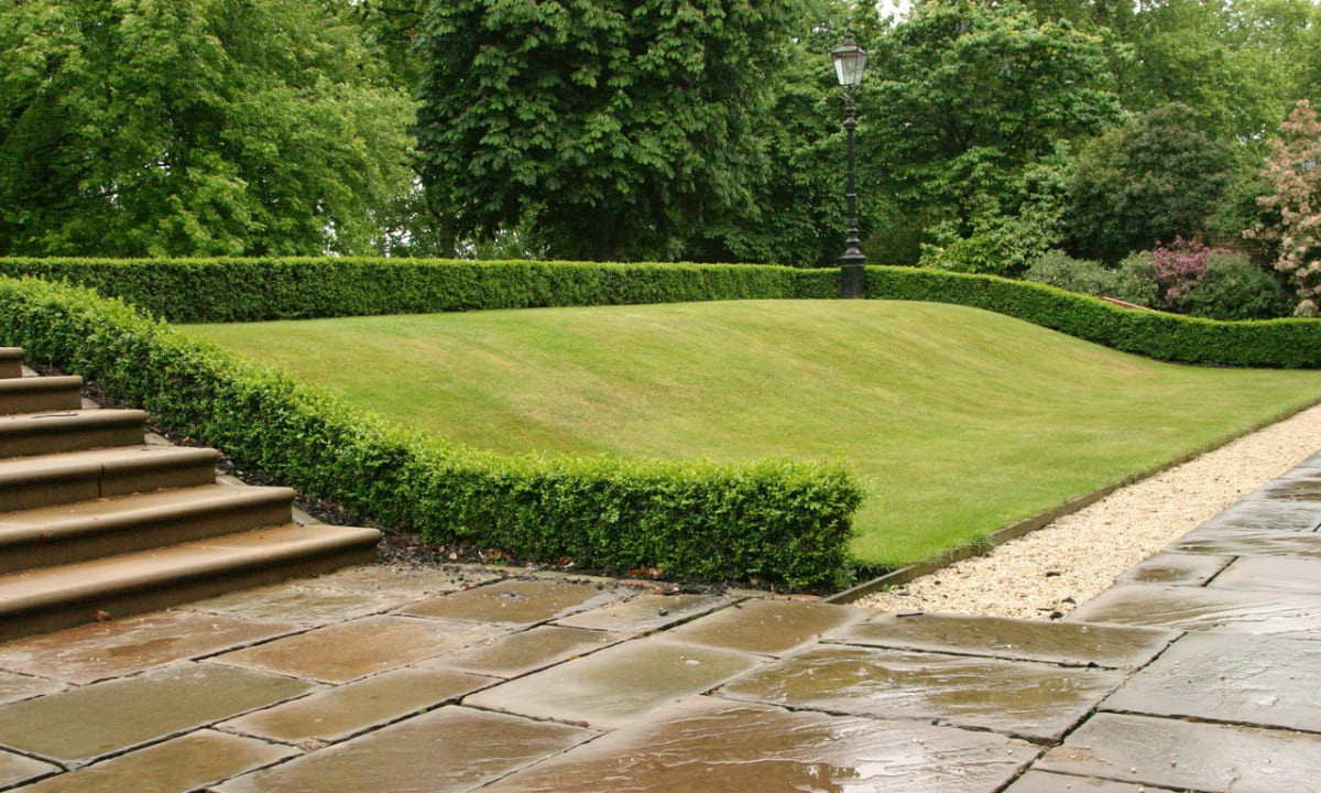 Газон на склоне фото 1